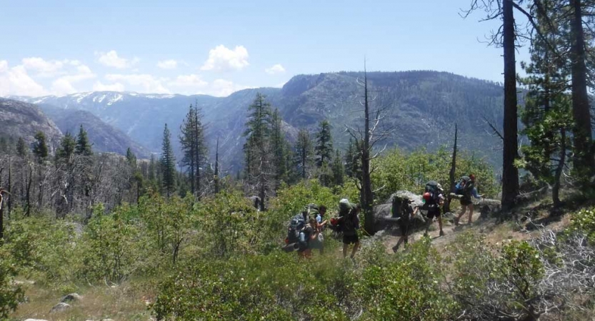 A group of backpackers hike through a green wooded area with a mountain in the background. 
